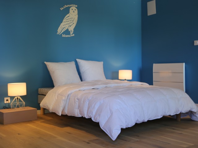La Chouette Blanche - Couette  King Size 260x240 cm - naturelle-Eté- Duvet de canard