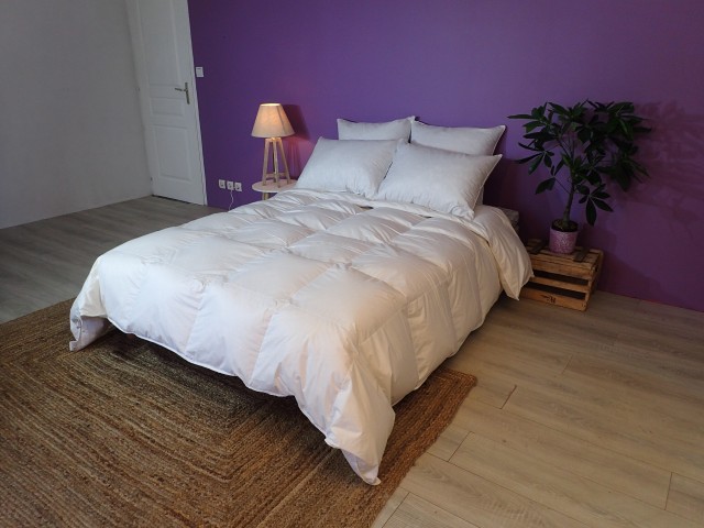 La Chouette Blanche - Lot de 2 Oreillers Luxe en Duvet de Canard,65x65cm + 50x70cm-Moelleux/Fabrication Artisanale Française
