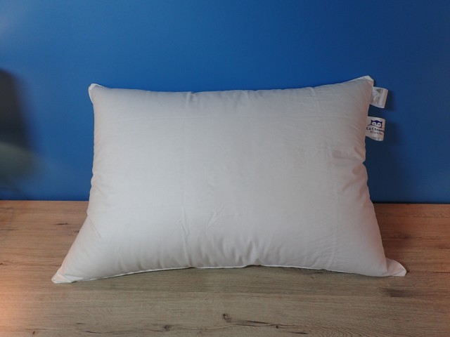 La Chouette Blanche - Oreiller Luxe en Duvet de Canard, rectangulaire 50X70cm-700-Moelleux/Fabrication Artisanale Française