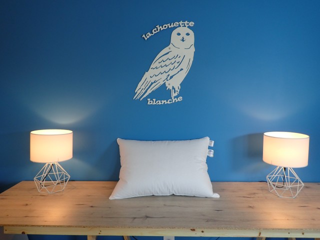 La Chouette Blanche - oreiller moelleux naturel 600, duvet de canard 50X70 cm