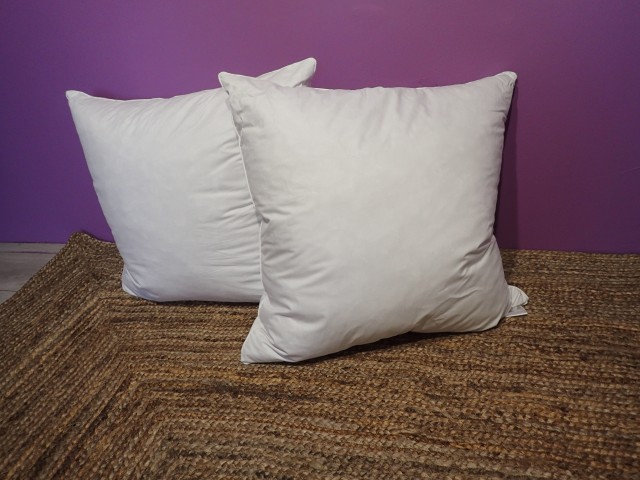 La Chouette Blanche - Oreiller Naturel en  Plumes d'Oies Grises, Soft, 65x65 cm-Fabrication Artisanale Française