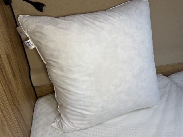 La Chouette Blanche - Oreiller Naturel  Plumes d'Oies Grises souple 60X60cm- Fabrication Artisanale Française