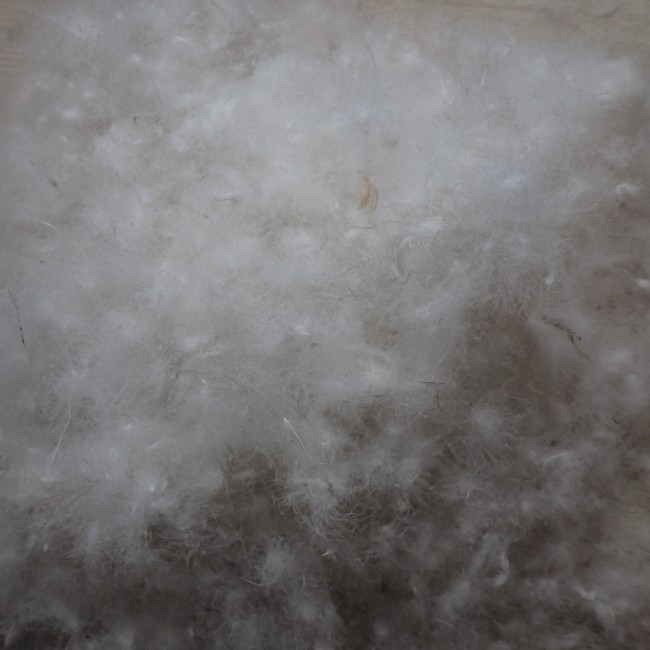 Couette  Naturelle, Duvet d'oie, Tempérée, 200x200 cm 