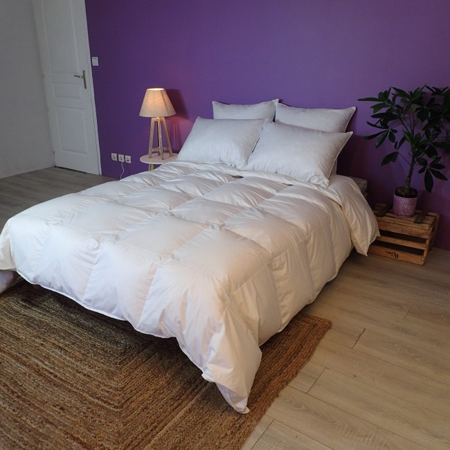 Lot de 2 Oreillers Luxe en Duvet de Canard,65x65cm + 50x70cm-Moelleux/Fabrication Artisanale Française