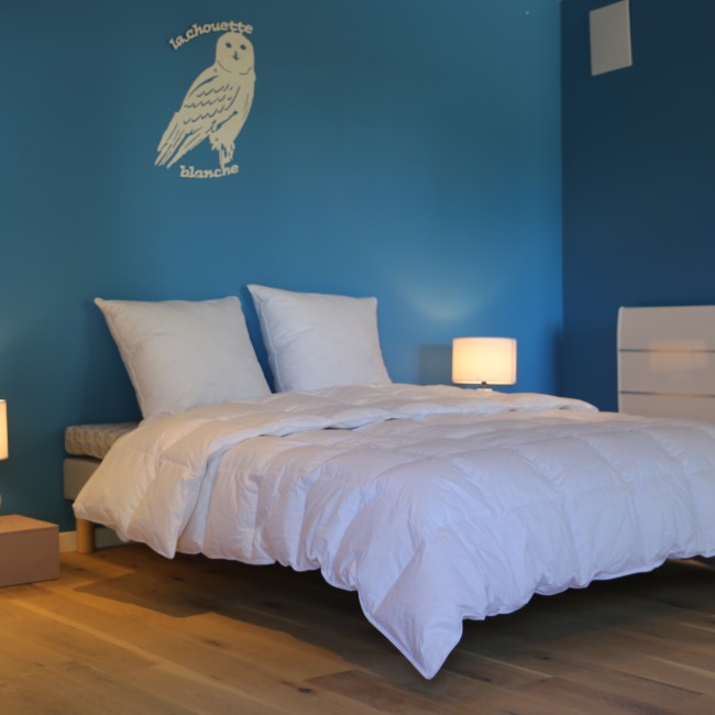 Lot de 2 Oreillers Naturels en Plumes d'Oies Grises, Soft, 65x65cm -Fabrication Artisanale Française