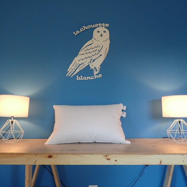 oreiller Plumes, ferme, 50X70 cm