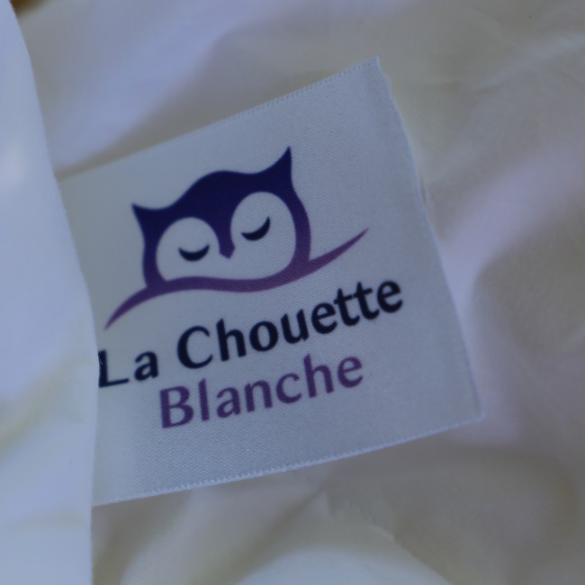 oreiller moelleux naturel 600, duvet de canard 50X70 cm