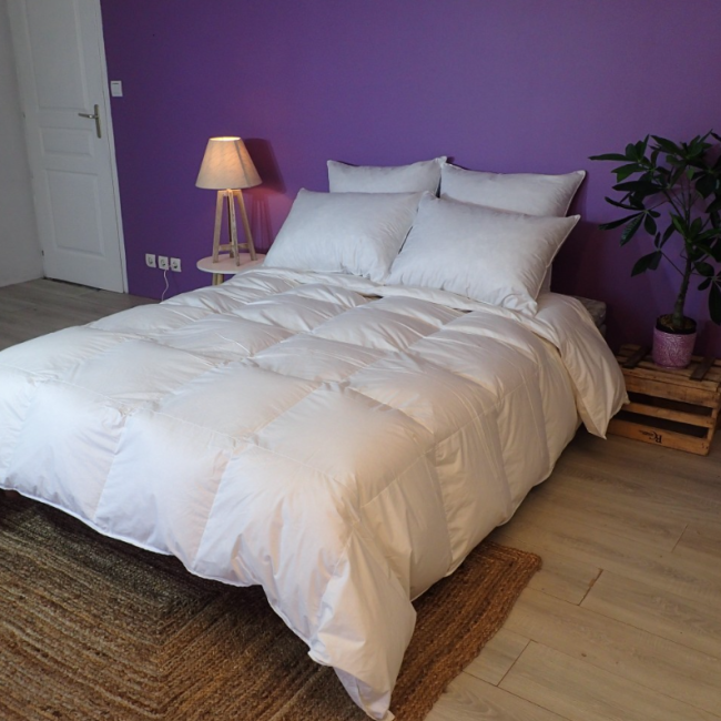 oreiller moelleux naturel 600, duvet de canard 50X70 cm