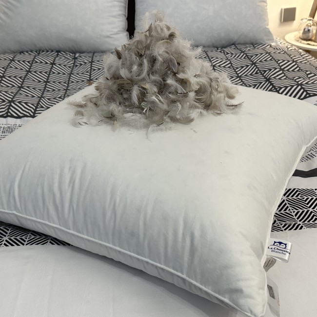 Oreiller Naturel  Plumes d'Oies Grises Très Ferme 60X60cm- Fabrication Artisanale Française